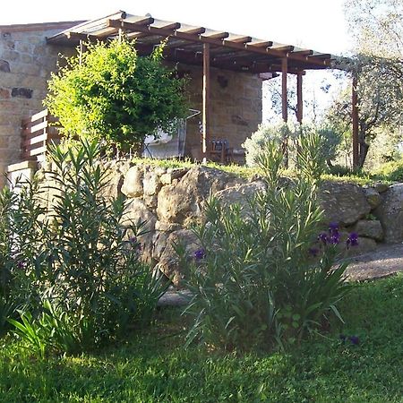 Arnaio Al Giglio Villa Roccastrada Buitenkant foto