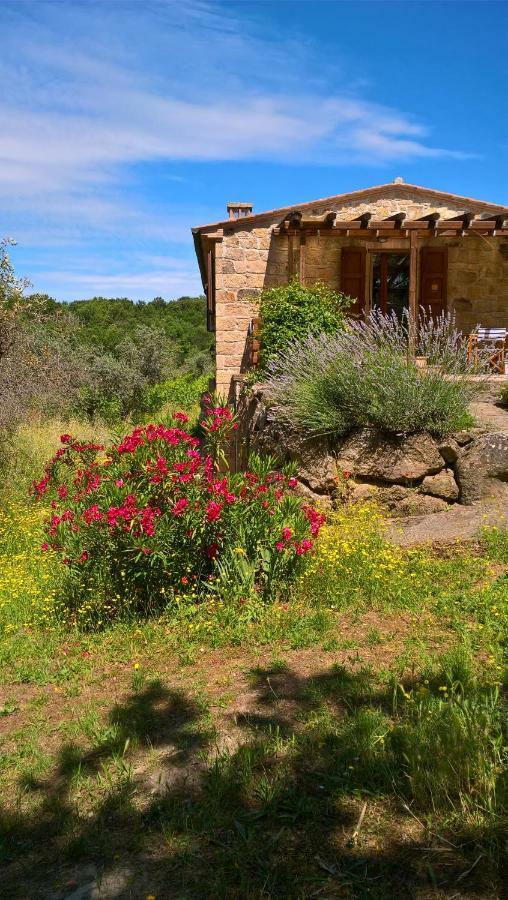 Arnaio Al Giglio Villa Roccastrada Buitenkant foto
