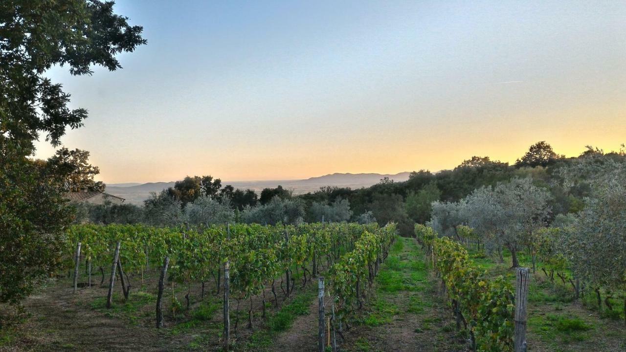 Arnaio Al Giglio Villa Roccastrada Buitenkant foto